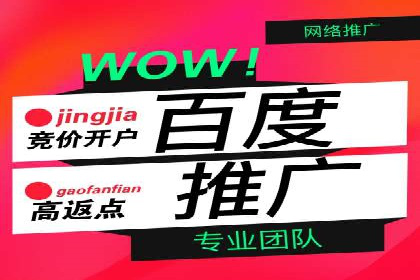 百度竞价推广托管案例分享：如何快速占领市场