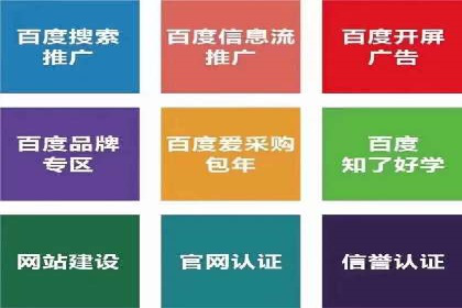 信息流广告投放公司案例对比分析
